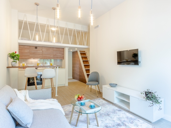 Mini Condos Studio Kitchen living area and mezzanine